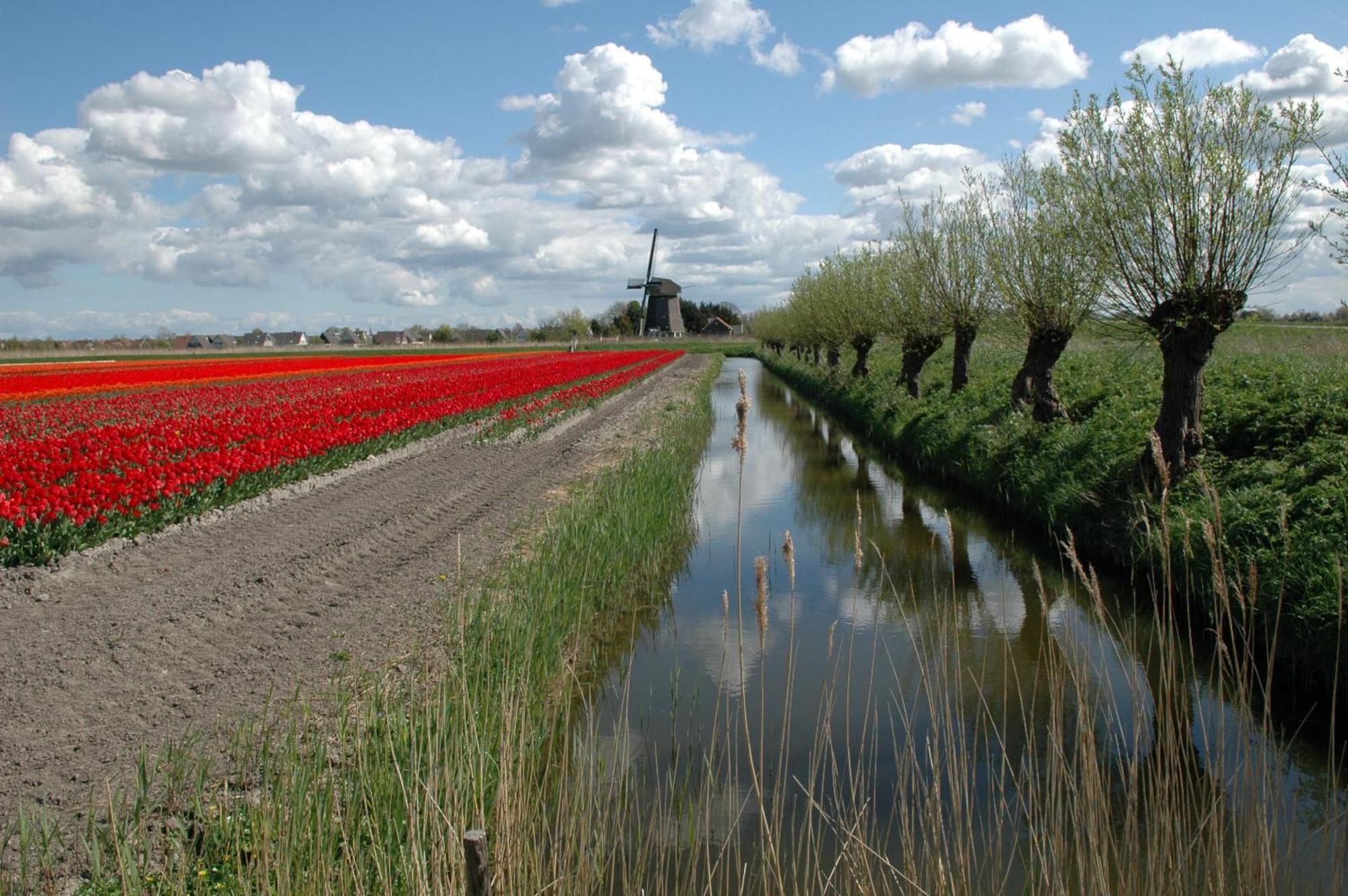 Hotelhuisjes Medemblik วีริงเงอแวร์ฟ ภายนอก รูปภาพ