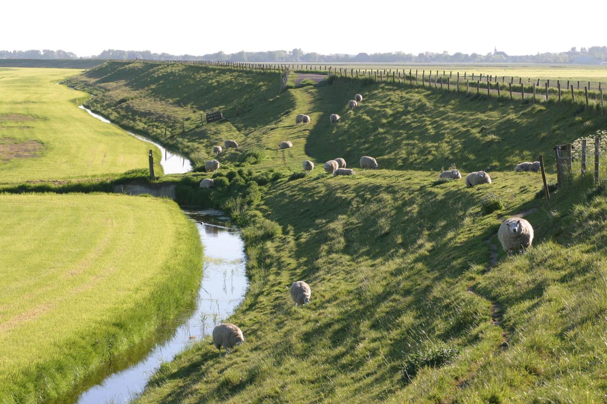 Hotelhuisjes Medemblik วีริงเงอแวร์ฟ ภายนอก รูปภาพ